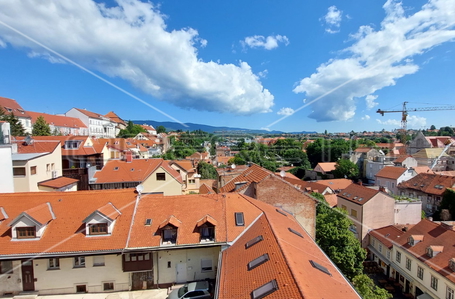 opereta_carousel_photo_8