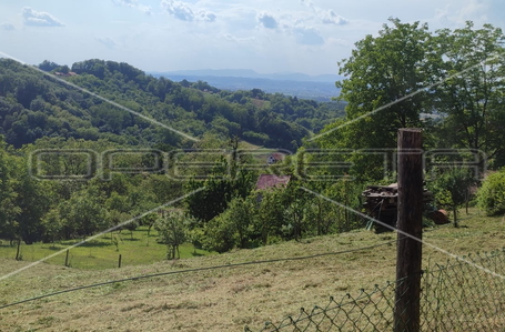 opereta_carousel_photo_2