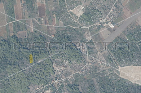 opereta_carousel_photo_4