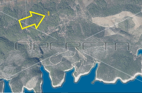 opereta_carousel_photo_3