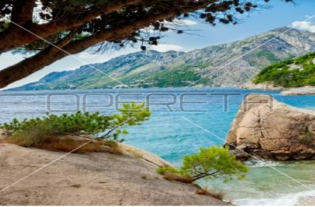 opereta_carousel_photo_3