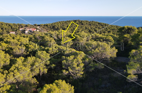 opereta_carousel_photo_8