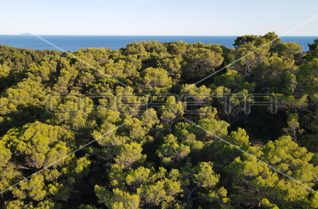 opereta_carousel_photo_9