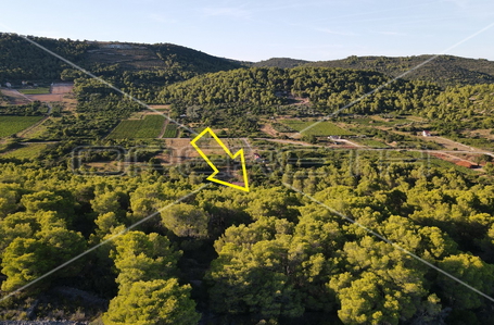 opereta_carousel_photo_7