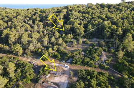 opereta_carousel_photo_5