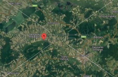 opereta_carousel_photo_7