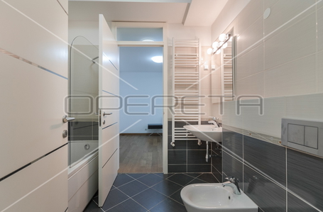 opereta_carousel_photo_6