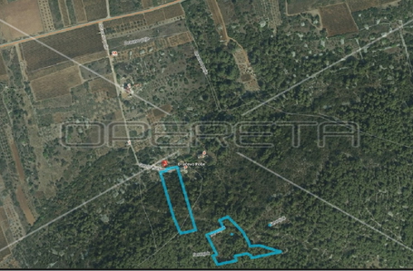 opereta_carousel_photo_8