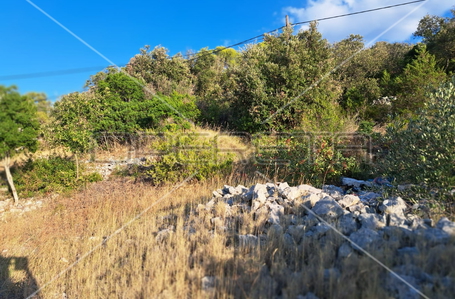 opereta_carousel_photo_7