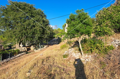 opereta_carousel_photo_9