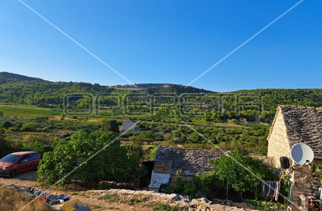 opereta_carousel_photo_5