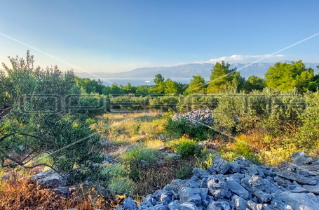 opereta_carousel_photo_5