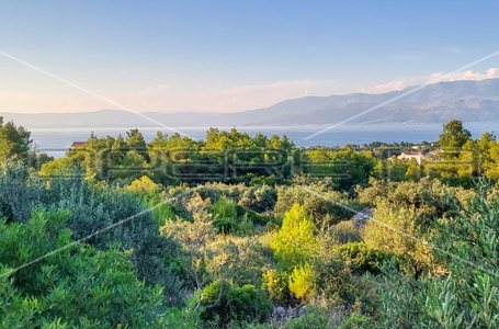 opereta_carousel_photo_7