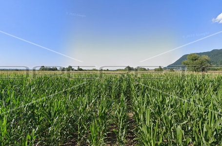 opereta_carousel_photo_2