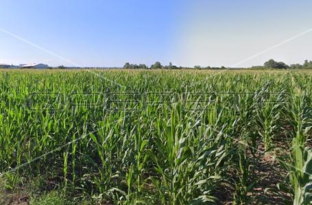 opereta_carousel_photo_3