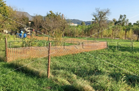 opereta_carousel_photo_2