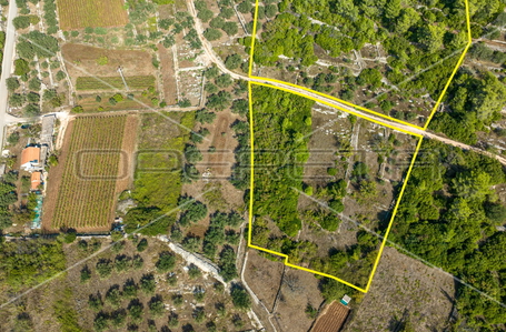 opereta_carousel_photo_2