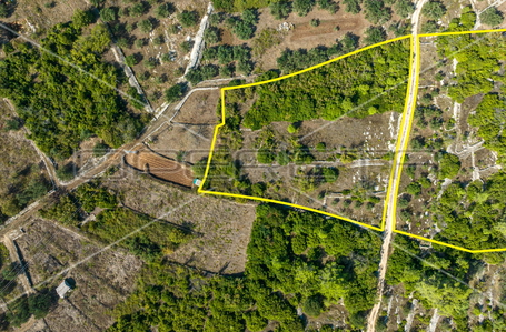 opereta_carousel_photo_3