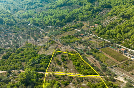 opereta_carousel_photo_4