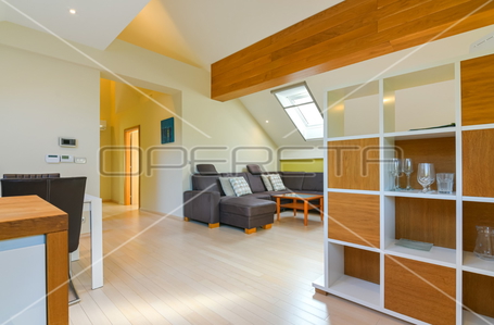 opereta_carousel_photo_7