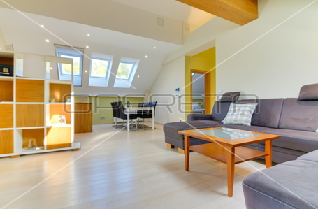 opereta_carousel_photo_4