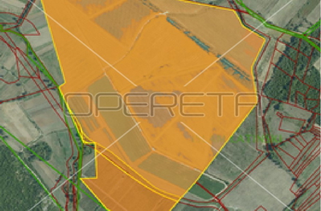 opereta_carousel_photo_3