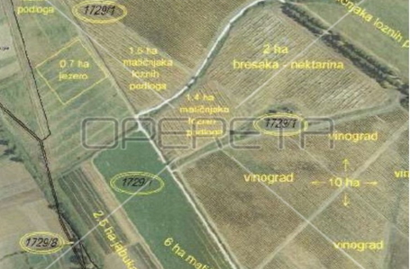 opereta_carousel_photo_4