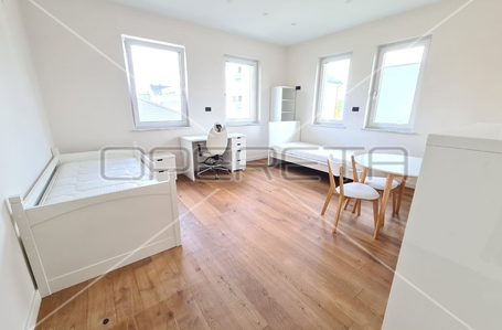 opereta_carousel_photo_8