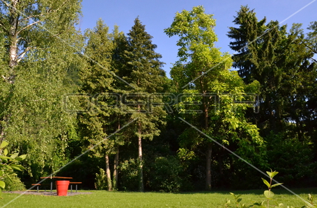 opereta_carousel_photo_2