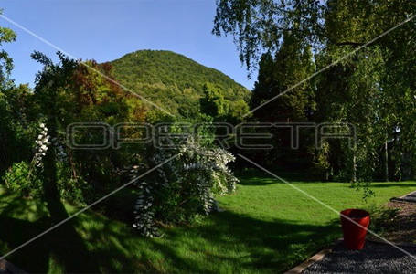 opereta_carousel_photo_7