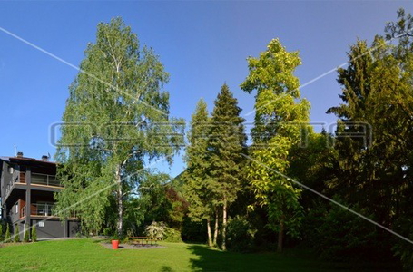 opereta_carousel_photo_8