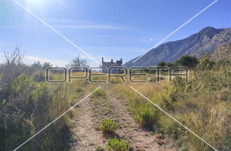 opereta_carousel_photo_4