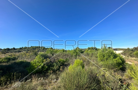 opereta_carousel_photo_2