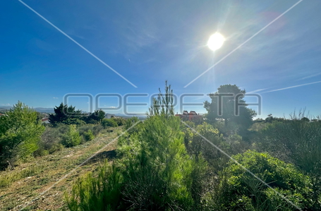 opereta_carousel_photo_3