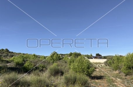 opereta_carousel_photo_6