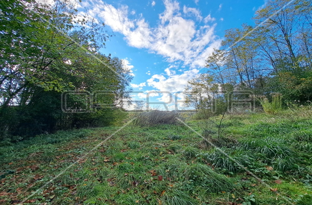 opereta_carousel_photo_2