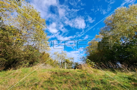 opereta_carousel_photo_3