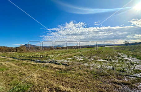 opereta_carousel_photo_5