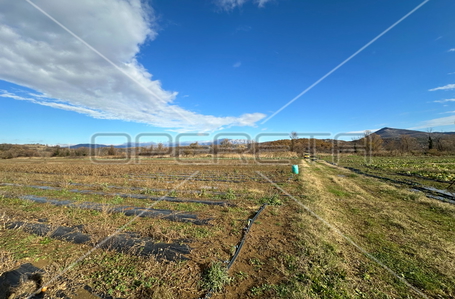 opereta_carousel_photo_7