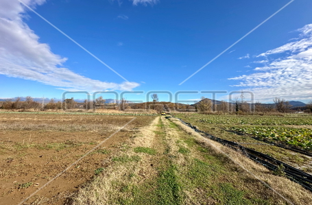 opereta_carousel_photo_8