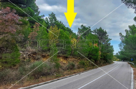 opereta_carousel_photo_2