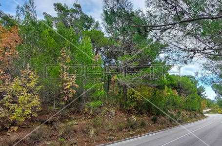 opereta_carousel_photo_6