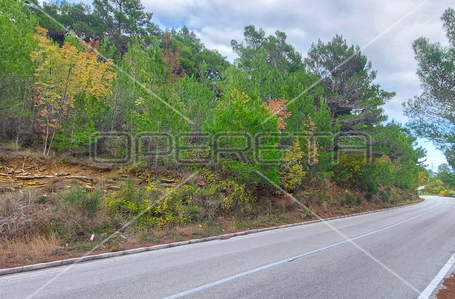 opereta_carousel_photo_7