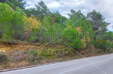 opereta_carousel_photo_8