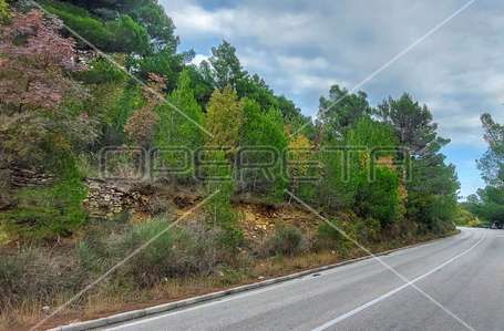 opereta_carousel_photo_9