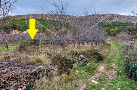 opereta_carousel_photo_3