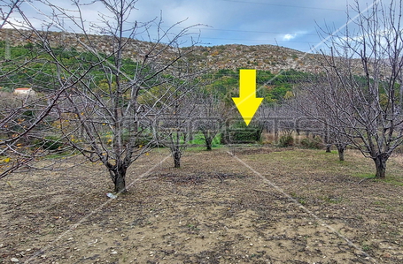 opereta_carousel_photo_2