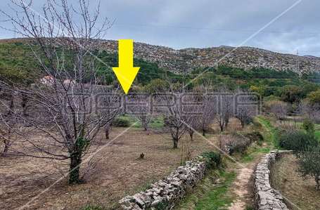 opereta_carousel_photo_9