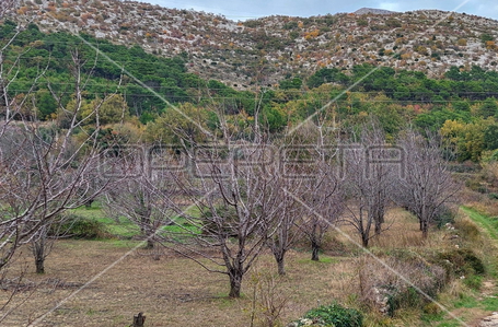 opereta_carousel_photo_4