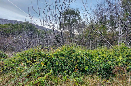 opereta_carousel_photo_6